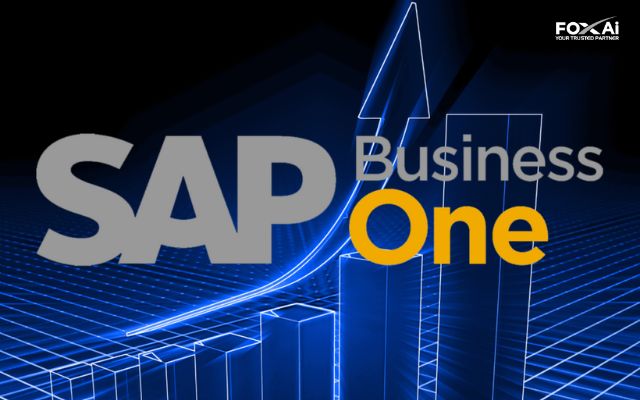 Mô hình của SAP B1