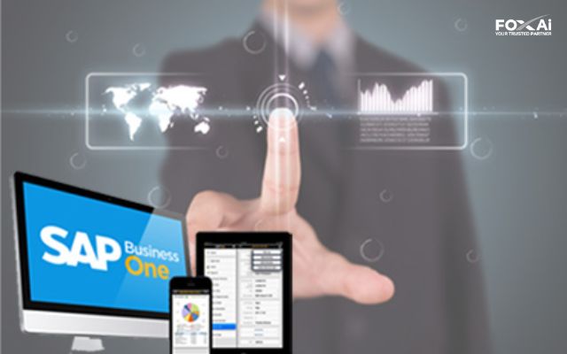 Techcom chạm tay vào SAP B1